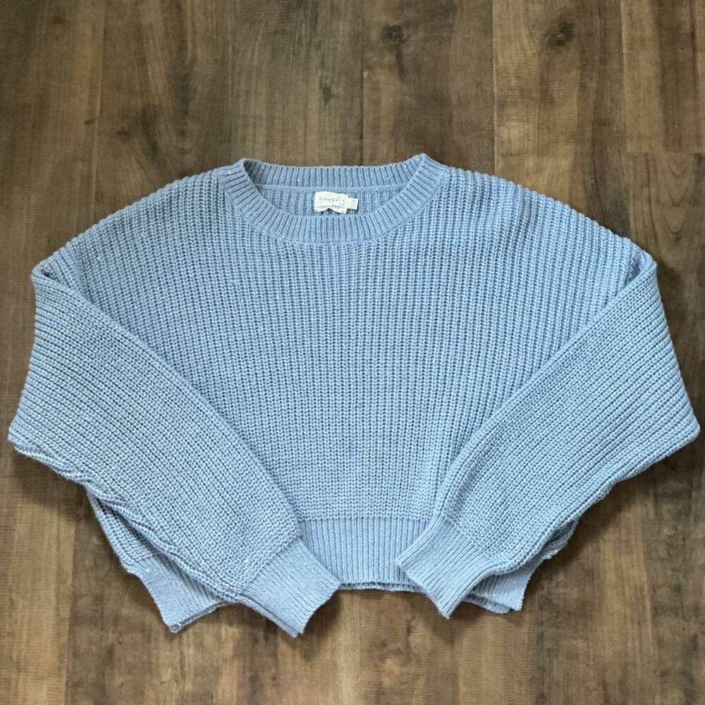 Dreamers by Debut‎ Blue Sequin Knit Sweater Medium